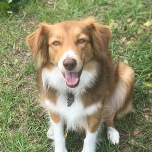 Meet your Posher, Rise